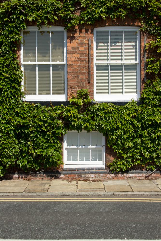 Sash Windows